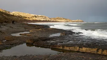 Moody Northumbrian beach.jpg